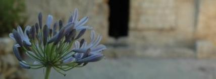TombGarden