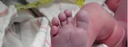 Baby 2