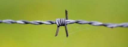 BarbedWire1