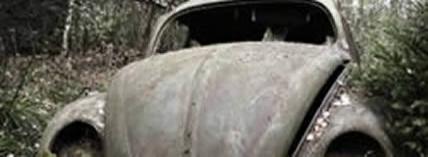 Beetle Old