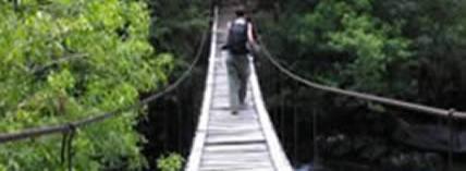 Bridge