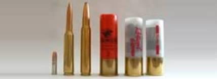 Bullets