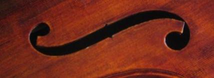 CelloDetail