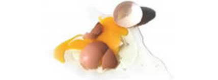 Egg Smashed