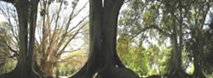 Environment 3