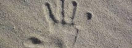 Hand
