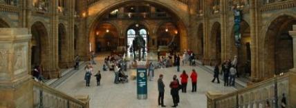 NaturalHistoryMuseum1