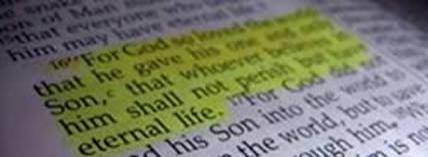 bible316