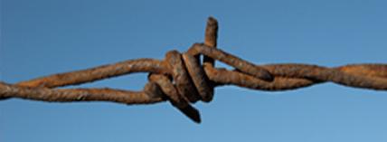 barbed wire