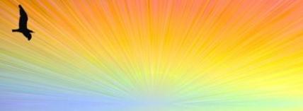 Image for Birdsun1