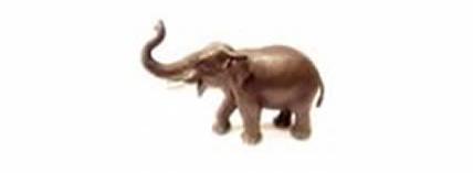 The blind men, the elephant and the zoo