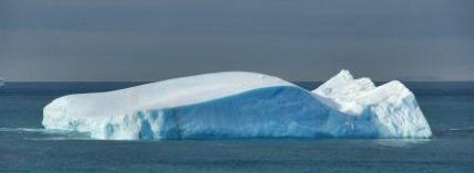 Image for Iceberg