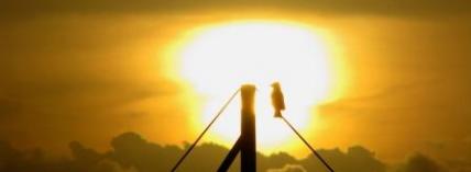 The Book of Ecclesiastes � absurdity pointing to meaning
