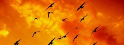 Taking your suffering to God Part 1