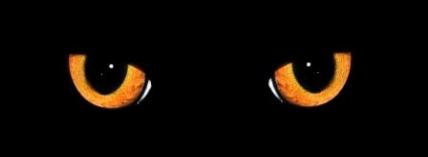 Unbelievable? Jesus and the Eyewitnesses