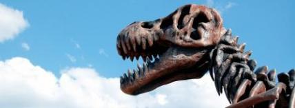 Part Two - Intelligent Designs on Science: A Surreply to Denis Alexander�s Critique