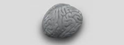 Having some faith in the grey Matter