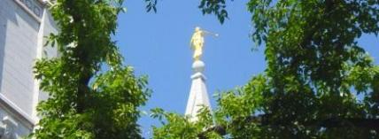 What to say to Mormons ... Ch. 1 About the Mormons