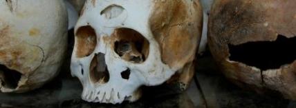 Adam and Anthropology