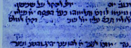 Expert Evidence on the Crucifixion of Jesus