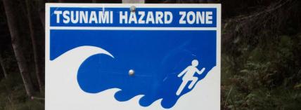 Why natural disasters?