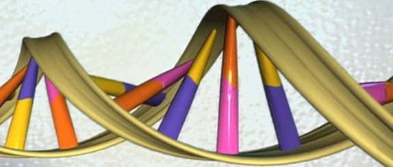 is there evidence that homosexuality is biologically determined is there evidence that homosexuality is biologically determined