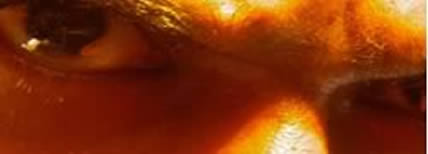 2. Spiritual Formation: Case Studies in Anger, Contempt & Cultivated Lust
