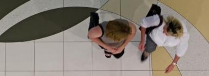 Birdseyeview1