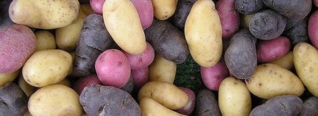 Potatoes