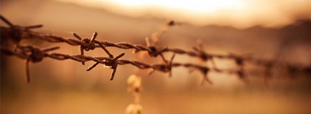 Barbed Wire