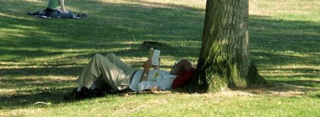 Man reading under tree