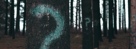 Question Tree