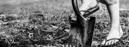 The Bible's Buried Secrets - Send Comments - bethinking.org